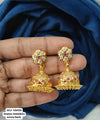 Impon AD earings.
